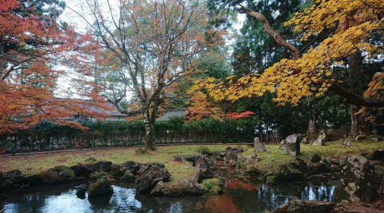 北畠神社　紅葉